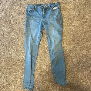 Blue Jean Skinny Jeans